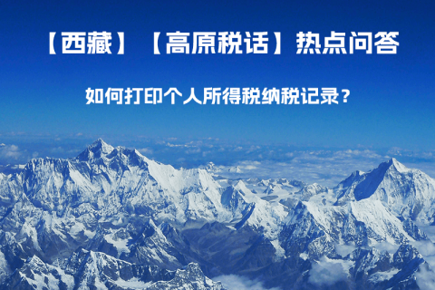 如何打印個人所得稅納稅記錄？