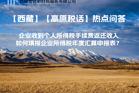 企業(yè)收到個人所得稅手續(xù)費(fèi)返還收入，如何填報(bào)企業(yè)所得稅年度匯算申報(bào)表？