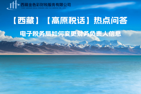 西藏電子稅務(wù)局如何變更財務(wù)負(fù)責(zé)人信息？